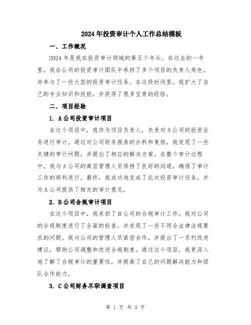 2024年投资审计个人工作总结模板