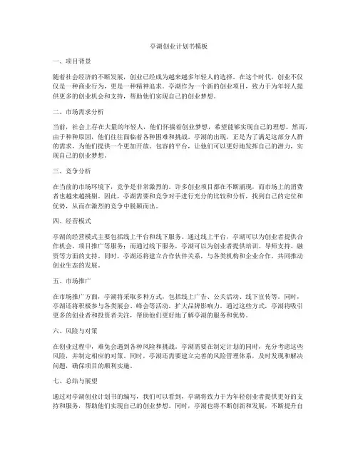 亭湖创业计划书模板