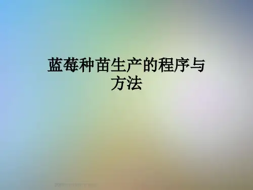 蓝莓种苗生产的程序与方法