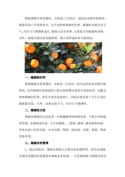 嫁接果树的最佳时间