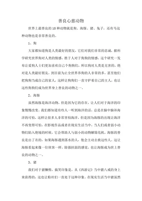 善良心慈动物