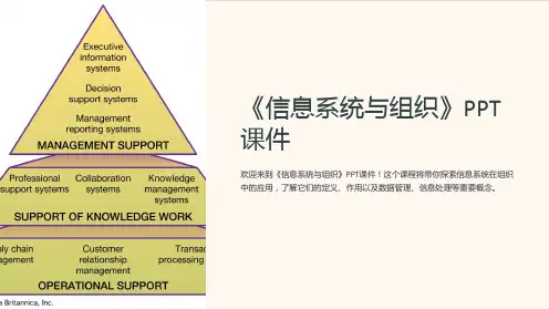 《信息系统与组织》课件