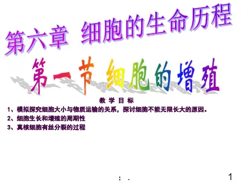 人教版生物必修一有丝分裂ppt课件