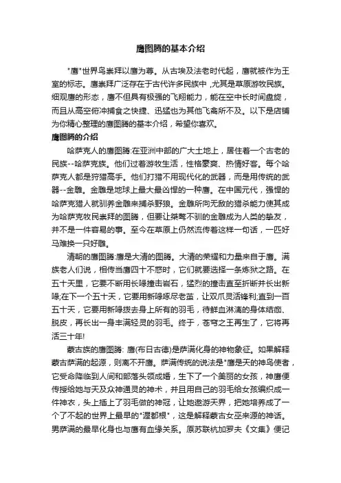鹰图腾的基本介绍