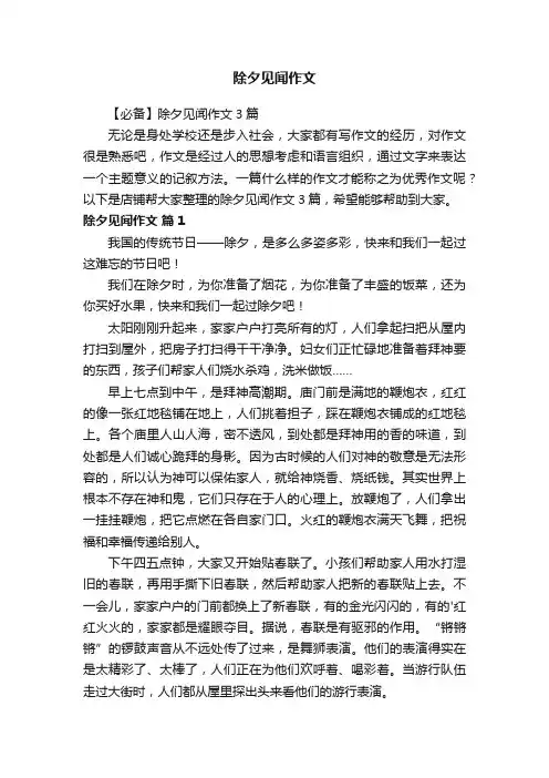 除夕见闻作文