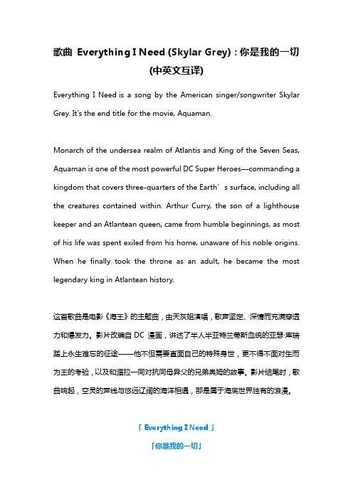 歌曲 Everything I Need (Skylar Grey)你是我的一切(中英文互译)