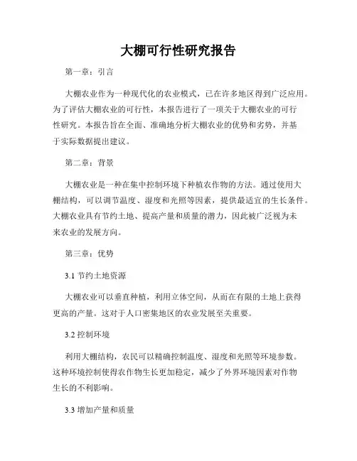 大棚可行性研究报告