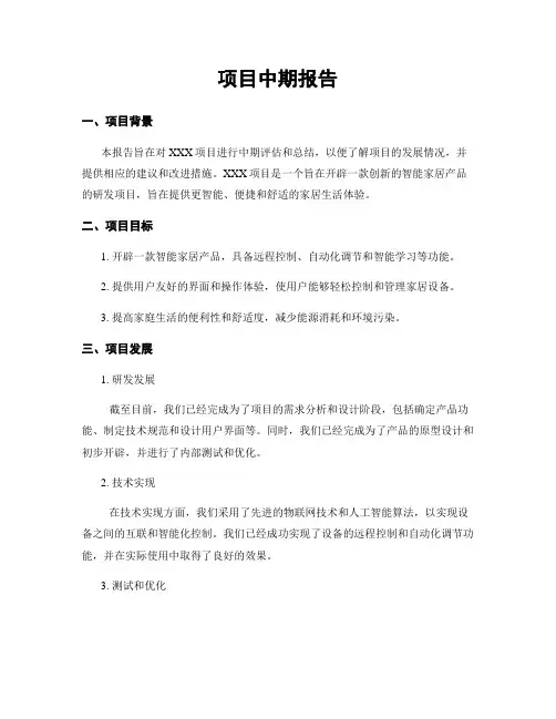 项目中期报告
