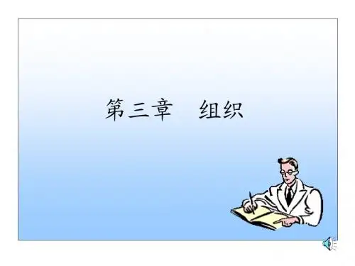 组织的工作过程