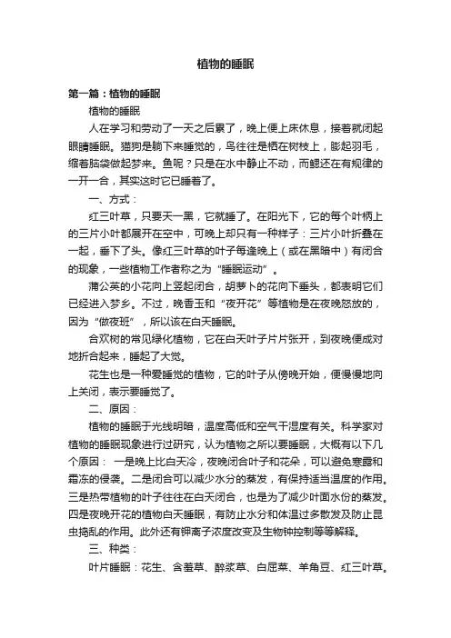 植物的睡眠