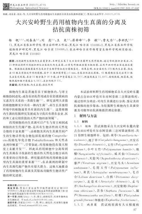 大兴安岭野生药用植物内生真菌的分离及拮抗菌株初筛