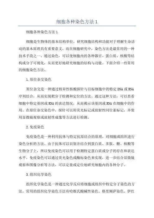 细胞各种染色方法1