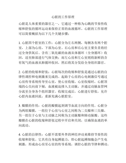 心脏的工作原理