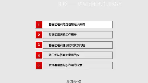 基层团组织作用发挥PPT课件