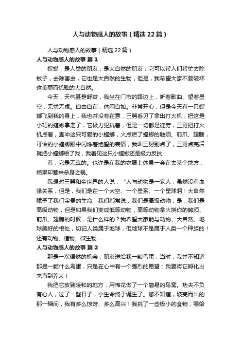 人与动物感人的故事（精选22篇）