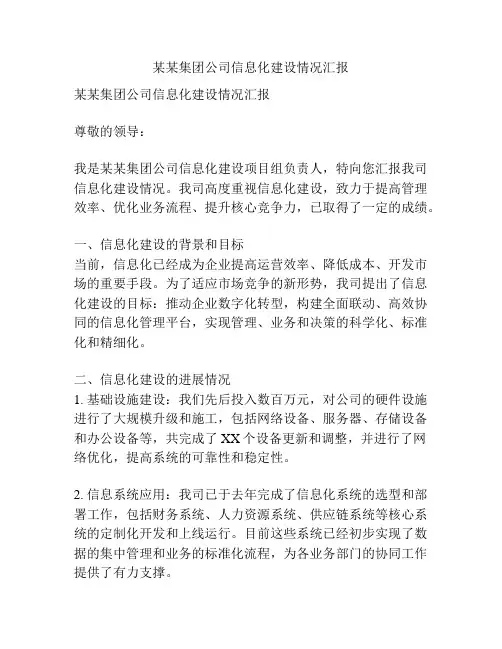 某某集团公司信息化建设情况汇报