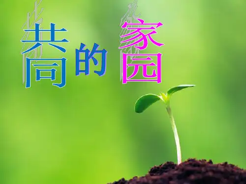 苏教版科学六年级下册第四单元《共同的家园》复习PPT