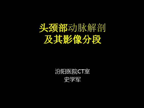 头颈CTA