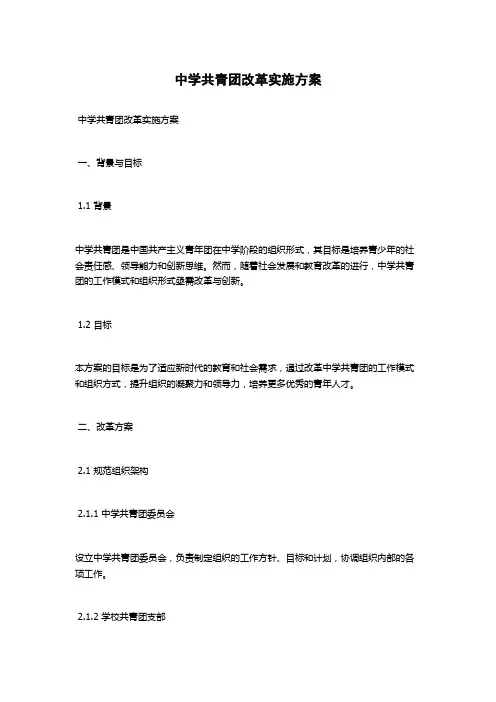 中学共青团改革实施方案