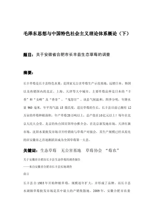毛邓三实践报告（2003）