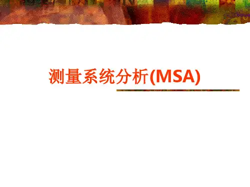 MSA培训教材