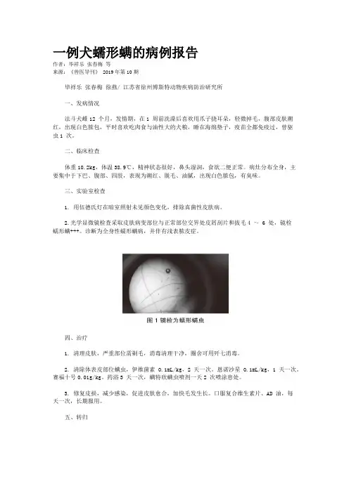一例犬蠕形螨的病例报告
