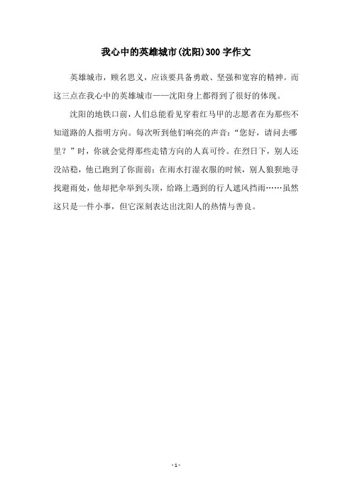 我心中的英雄城市(沈阳)300字作文
