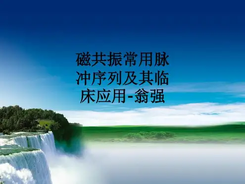 磁共振常用脉冲序列及其临床应用-翁强-2022年学习资料