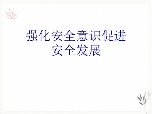 强化安全意识促进安全发展PPT课件(模板)