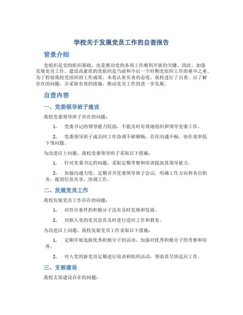 学校关于发展党员工作的自查报告