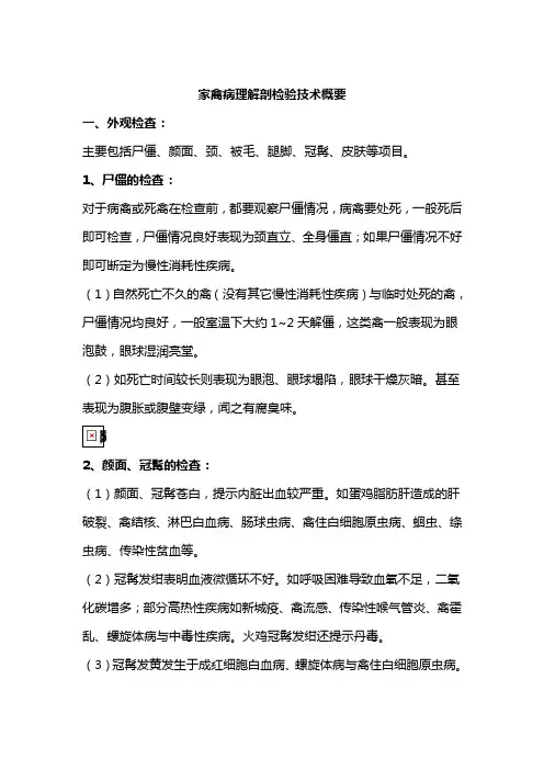 家禽病理解剖检验技术概要