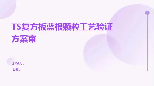 TS复方板蓝根颗粒工艺验证方案审