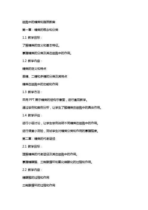 细胞中的糖类和脂质教案