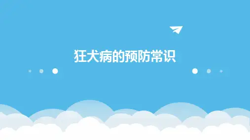 2024版狂犬病的预防常识