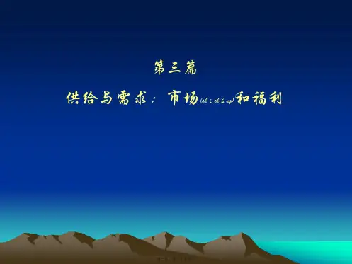 第三篇市场和福利(PPT)