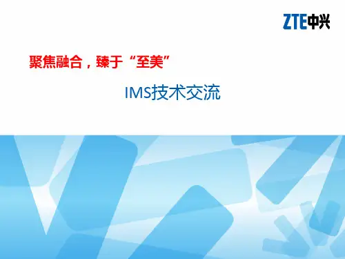 IMS系统介绍