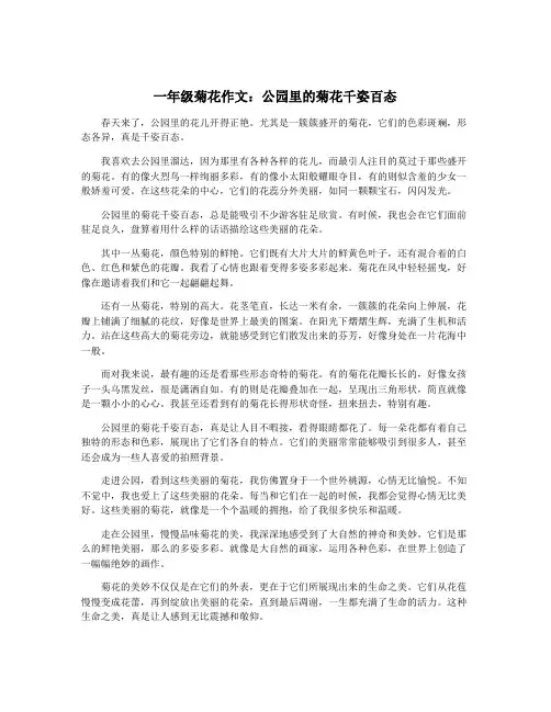一年级菊花作文：公园里的菊花千姿百态