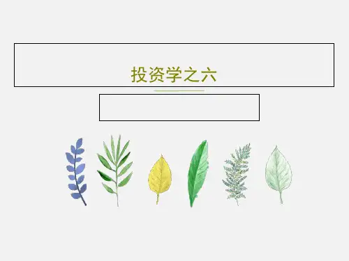 投资学之六68页PPT