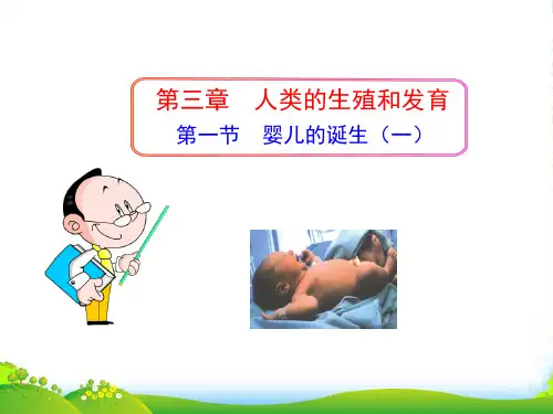 八年级生物上册 第三章 第一节 婴儿的诞生（一）课件 济南版