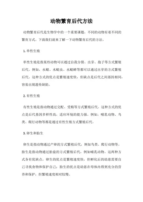 动物繁育后代方法
