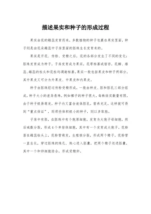 描述果实和种子的形成过程