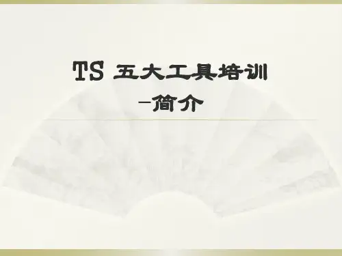 TS 五大工具培训-简介