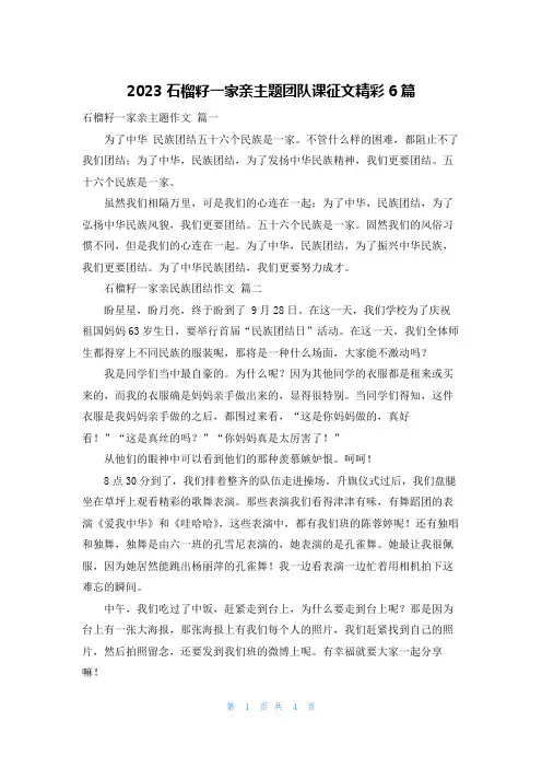 2023石榴籽一家亲主题团队课征文精彩6篇