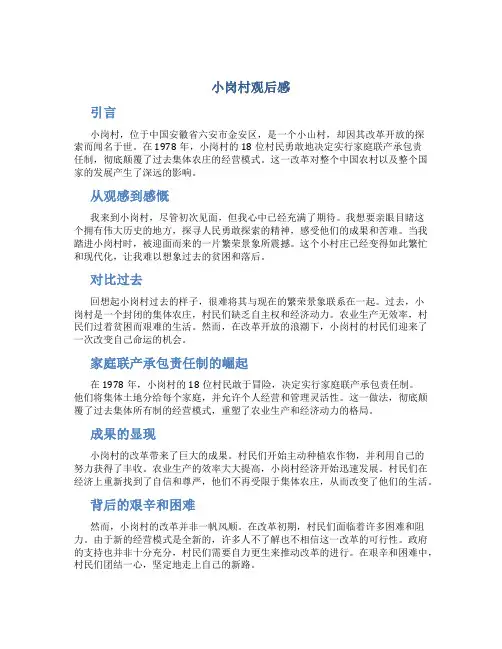 小岗村观后感