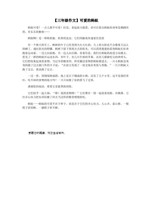 【三年级作文】可爱的蚂蚁