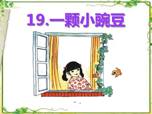 《一颗小豌豆》PPT课件5