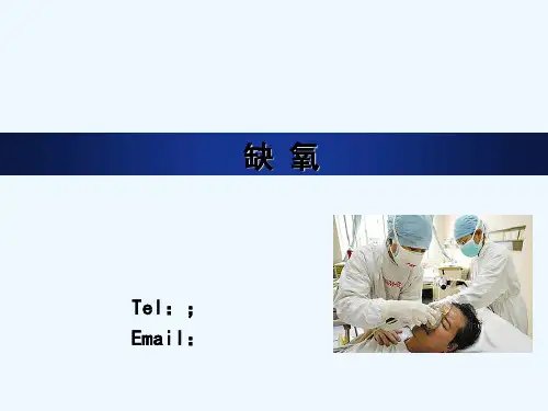四种类型缺氧 PPT