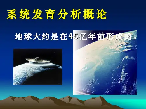 系统发育分析
