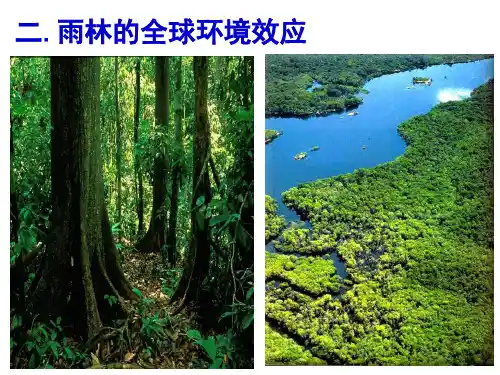 第二节森林的开发和保护2、雨林的全球环境效应