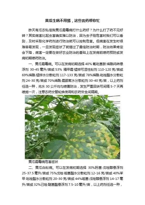 黄瓜生病不用慌，这些农药帮你忙